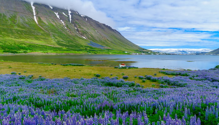 Landscape around Isafjordur, Iceland