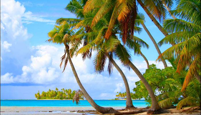 Beach in Rangiroa atoll, French Polynesia