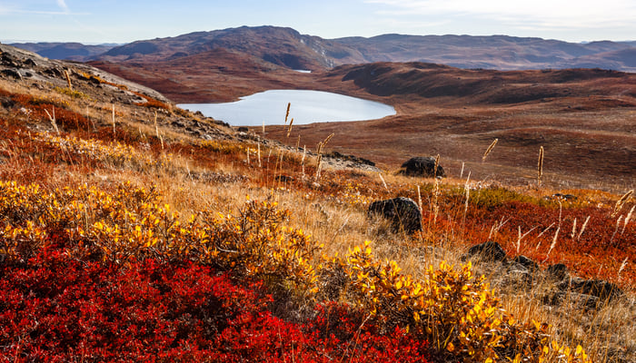 Autumn landscape in Kangerlussuaq, Greenland