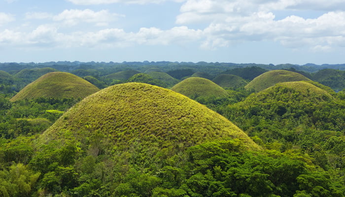Chocolate Hills on Bohol island, the Philippines