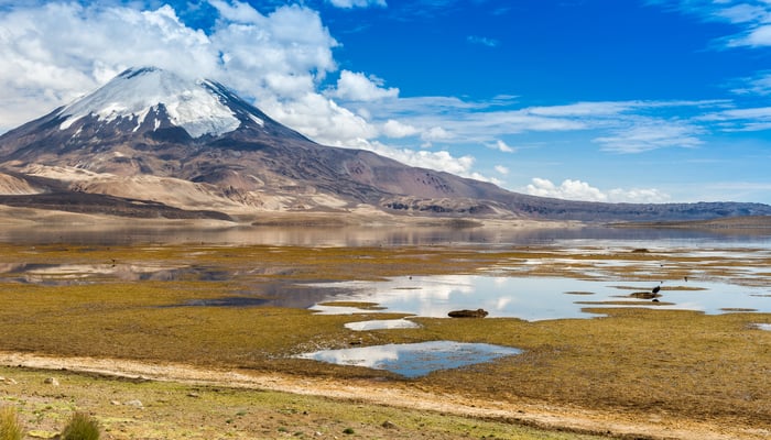 Parinacota volcano in Lauca National Park, Chile