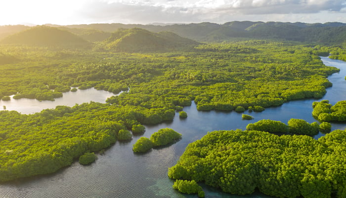 discover the Amazon on a river cruise