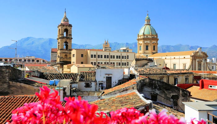 Spring flowers in Palermo, Sicily