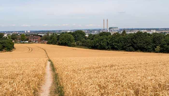 Fields near Tilbury, UK