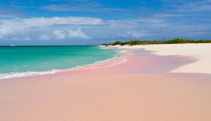 Pink sand beach on Barbuda