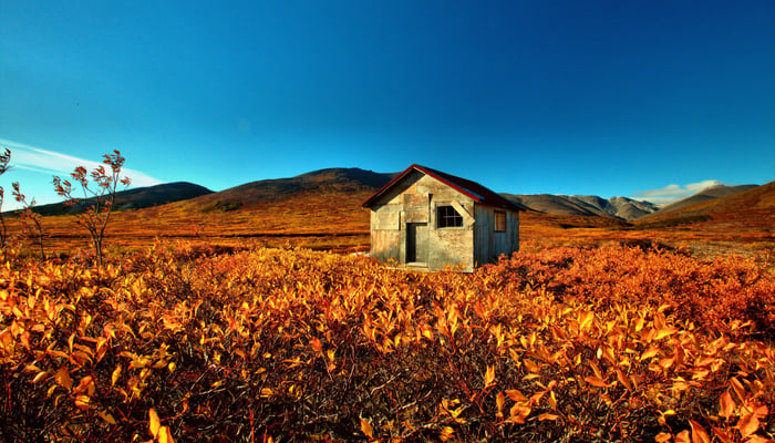Abandoned miners' camp near Nome, Alaska