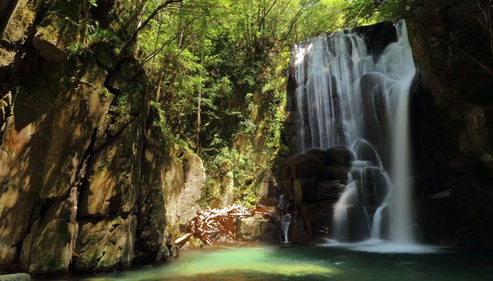 Waterfall near Shingu, Japan