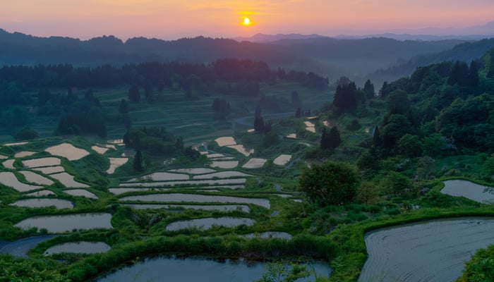 Ricer terraces in Niigata, Japan