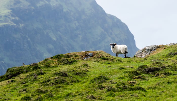 Clare Island, County Mayo, Ireland