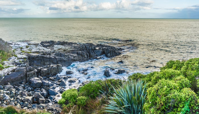 Bluff, New Zealand