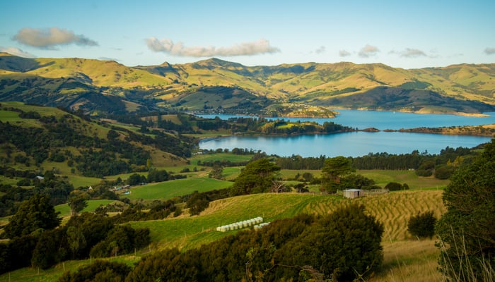 Akaroa bay, New Zealand