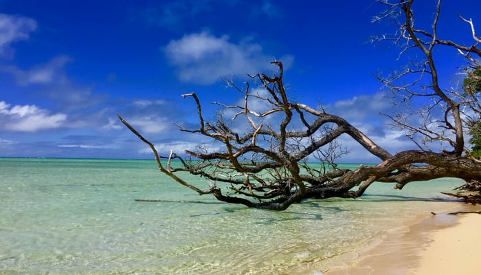 Leleuvia island, Fiji