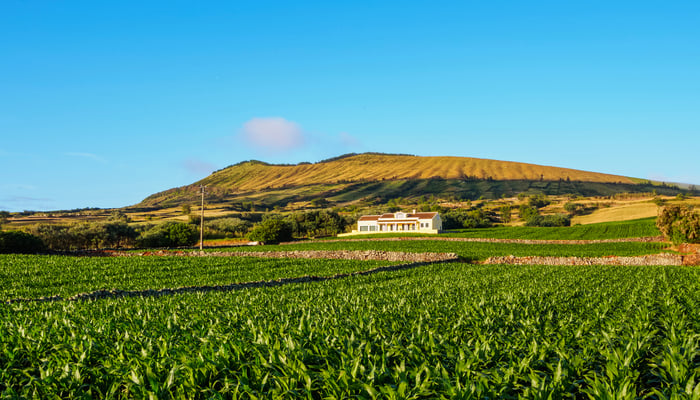 Graciosa island, Azores