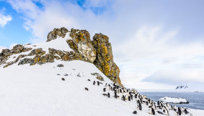 Half Moon Island, South Shetland Islands, Antarctica
