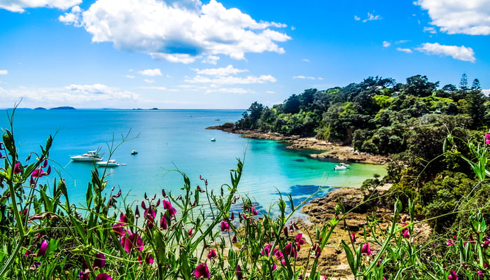 Waiheke Island, New Zealand