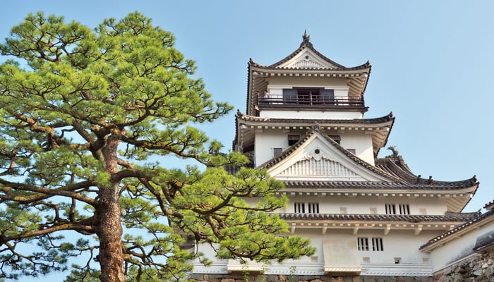Kochi Castle, Japan