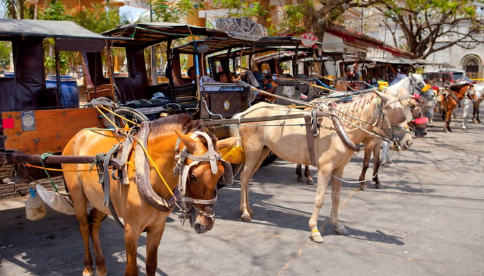 Horse-drawn carriages in Vigan, Philippines