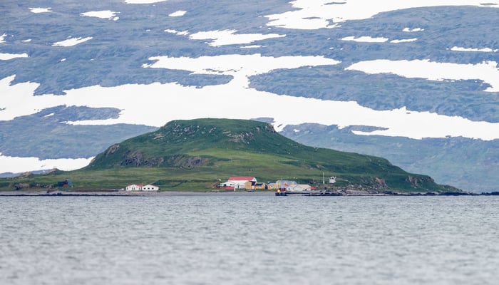 Vigur island, Iceland