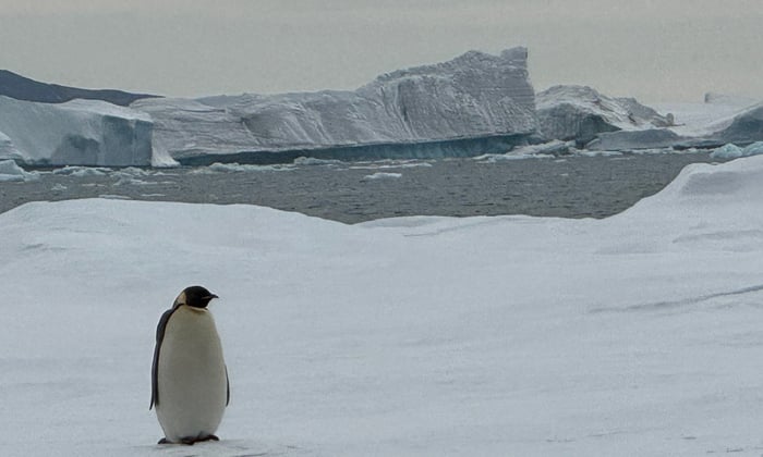 Antarctica with Seabourn: Seabourn Venture Review