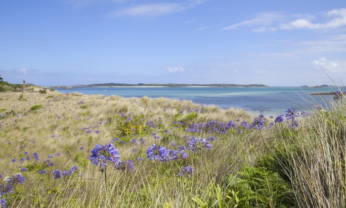 Tresco, Isles of Scilly