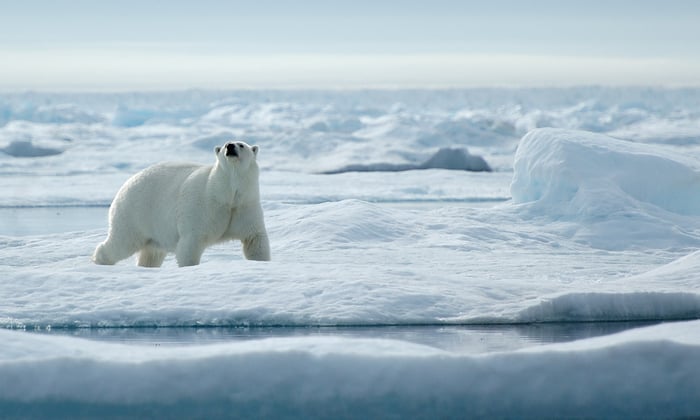 All You Need to Know About The Northwest Passage: