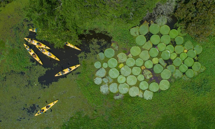 Seabourn Venture - Kayaking in the Amazon