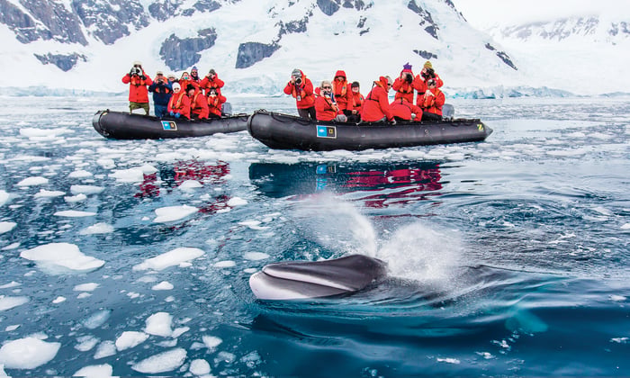 Lindblad Expeditions - Whale watching cruise in Antarctica