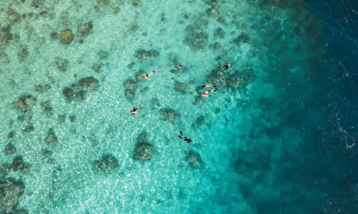 Aqua Blu - Snorkelling in Raja Ampat, Indonesia