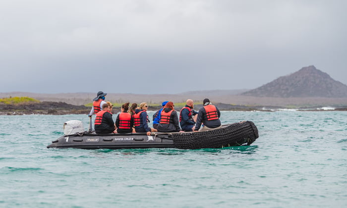 tortuga galapagos