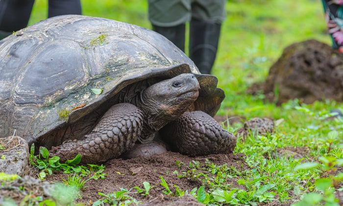 SantaCruz_Galapagos