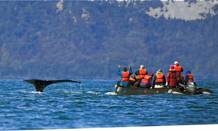Lindblad Expeditions - Zodiac and whale in Alaska