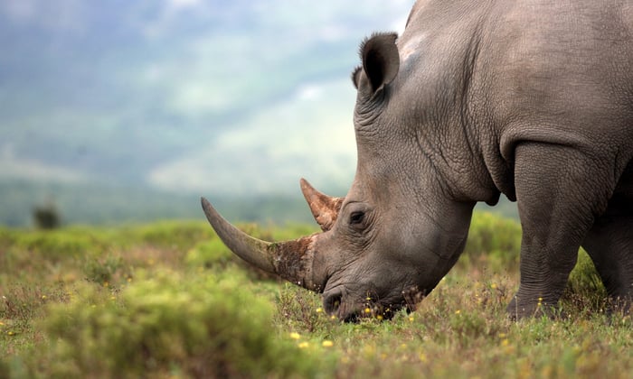 best-cruises-south-africa