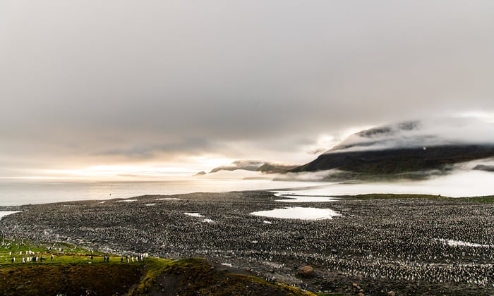 St Andrews Bay, South Georgia