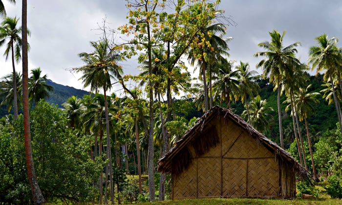 Traditional house, Pentecost Island, Vanuatu