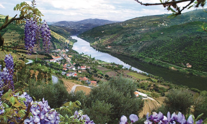 Douro river valley, Portugal