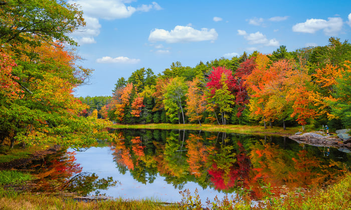 Autumn day in New England