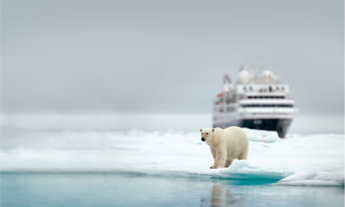 Polar bear in Svalbard on a Silversea Expeditions cruise