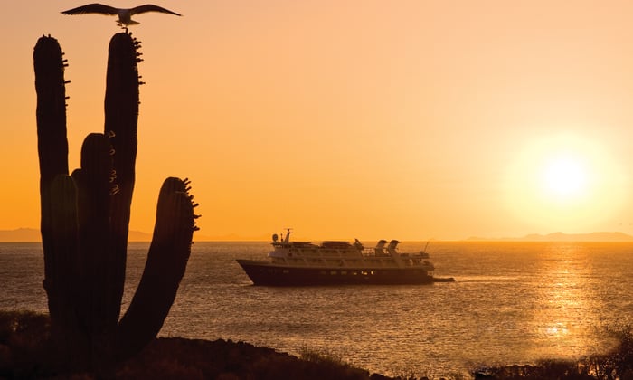 Lindblad Expeditions in the Sea of Cortez, Mexico