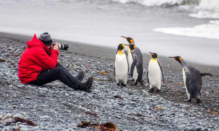 antarctica-cruise-from-australia