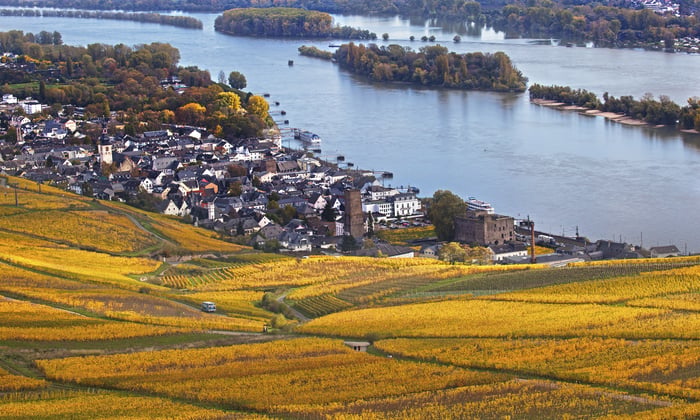 Rhine Valley at Rudesheim, Germany