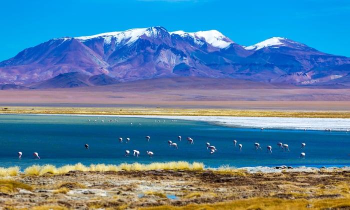 Atacama Desert, Chile