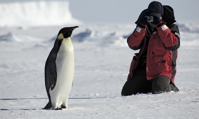 Photography expedition cruises antarctica