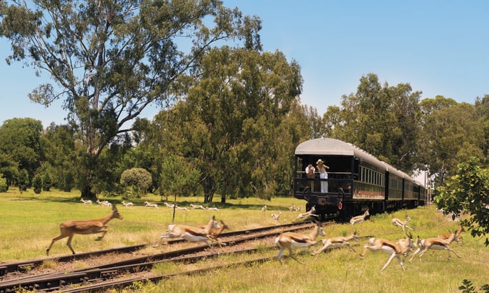 Rovos Rail Viewing Platform