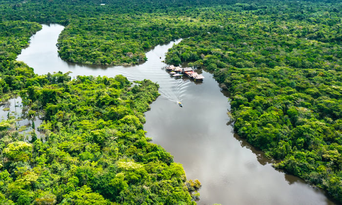 Amazon rainforest in Peru