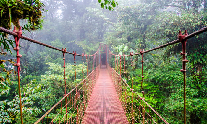 Monteverde Cloud Forest, Costa Rica