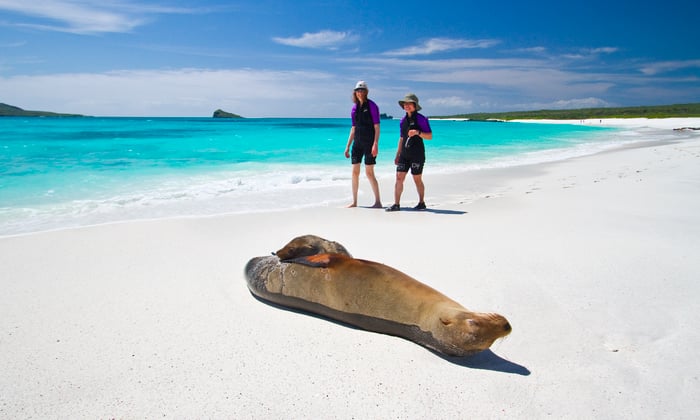 Family on the beach in the Galapagos