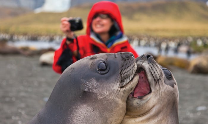 Lindblad Expeditions - Photographing seals in Antarctica