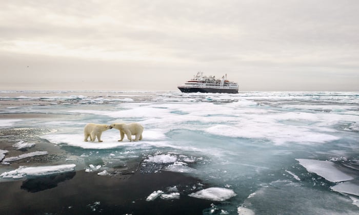 Silver Explorer and polar bears in the Arctic