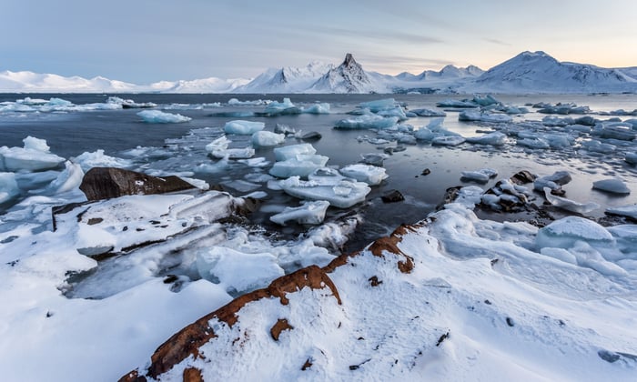 Arctic vs Antarctic