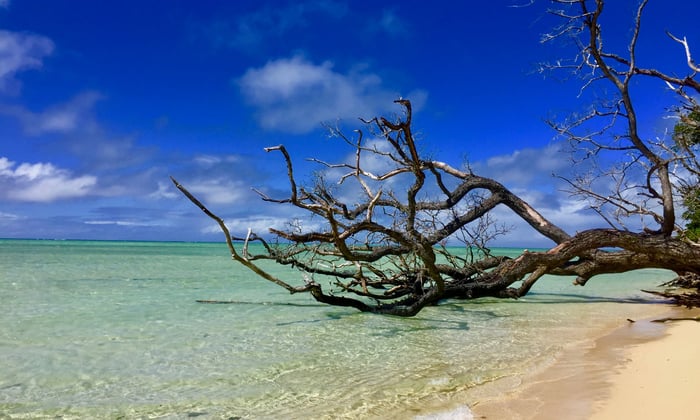 Leleuvia Island, Fiji